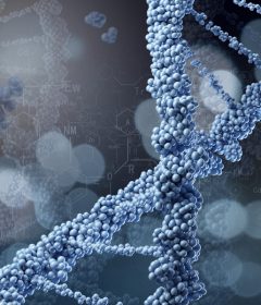 mRNA technology